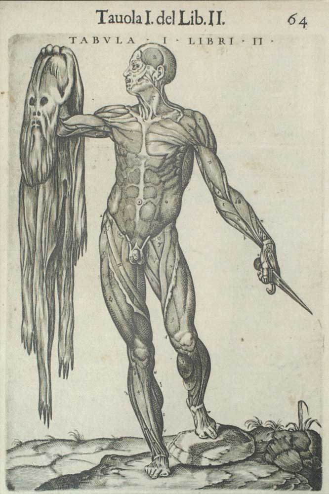 Vykort, Juan de Valverde (1525–?) La anatomia del corpo umano Kopparstick av Gaspar Beccerra (1520-1568) Venedig, 1586.