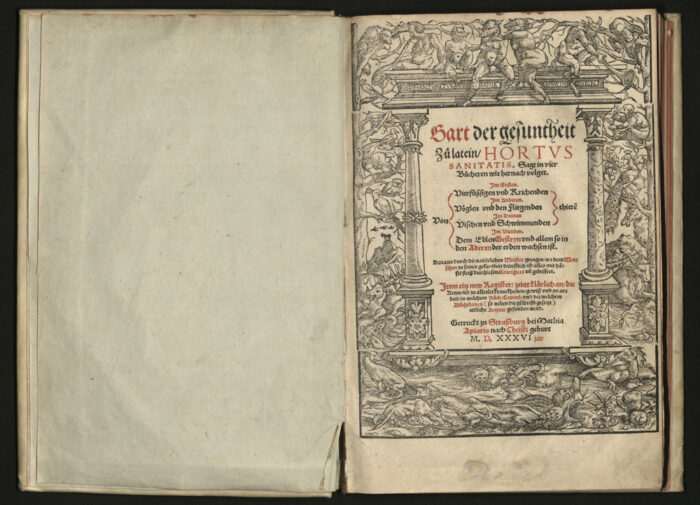 Gart der Gesundheit, 1536.