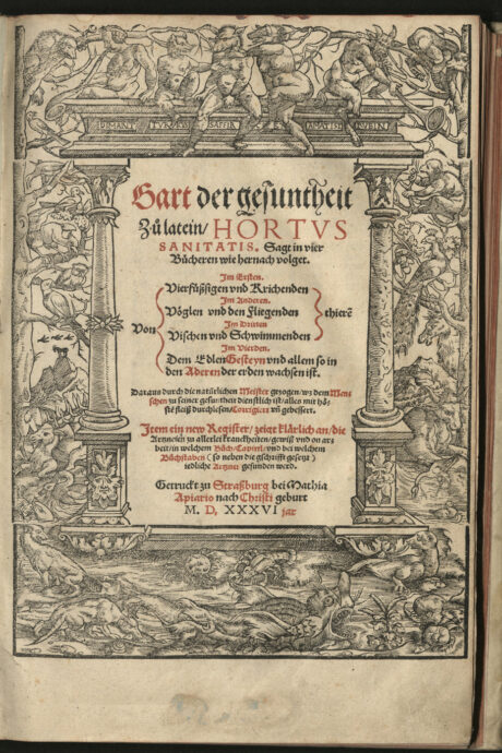 Gart der Gesundheit, 1536.
