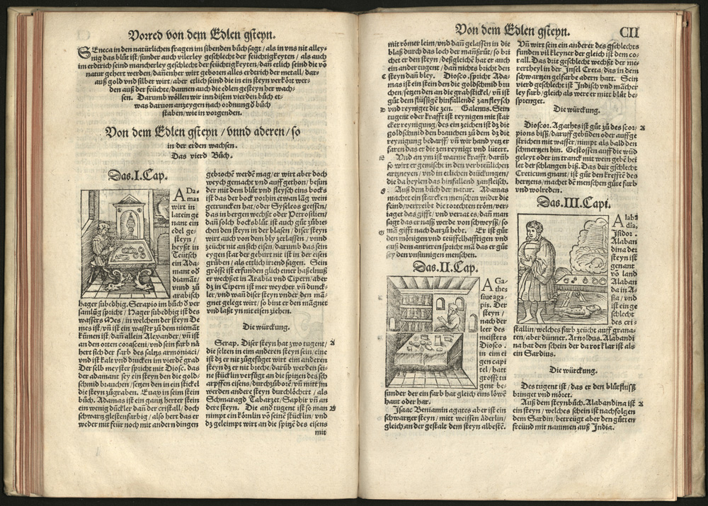 Gart der Gesuntheit zu Latein Hortus sanitatis (Strassbourg, Matthias Apiarius, 1536) - Hagströmer Library