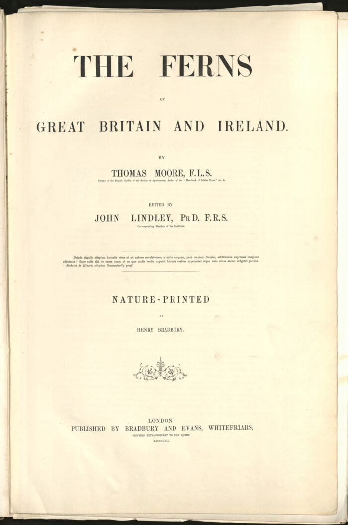 The Ferns of Great Britain and Ireland, 1855-1856.