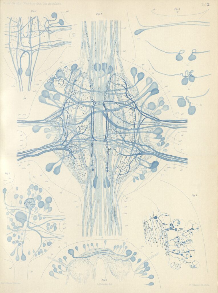 Varmt välkommen till föredrag 5 mars!